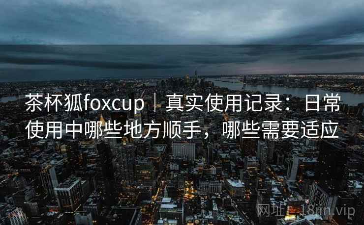 茶杯狐foxcup｜真实使用记录：日常使用中哪些地方顺手，哪些需要适应