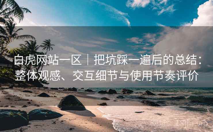 白虎网站一区｜把坑踩一遍后的总结：整体观感、交互细节与使用节奏评价