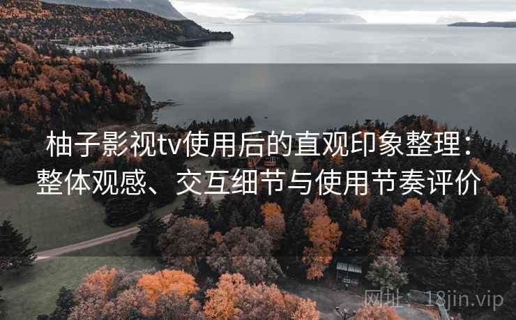 柚子影视tv使用后的直观印象整理：整体观感、交互细节与使用节奏评价