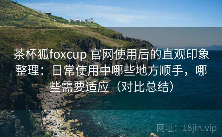 茶杯狐foxcup 官网使用后的直观印象整理：日常使用中哪些地方顺手，哪些需要适应（对比总结）