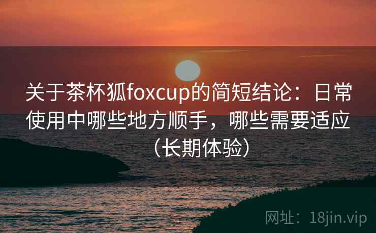 关于茶杯狐foxcup的简短结论：日常使用中哪些地方顺手，哪些需要适应（长期体验）