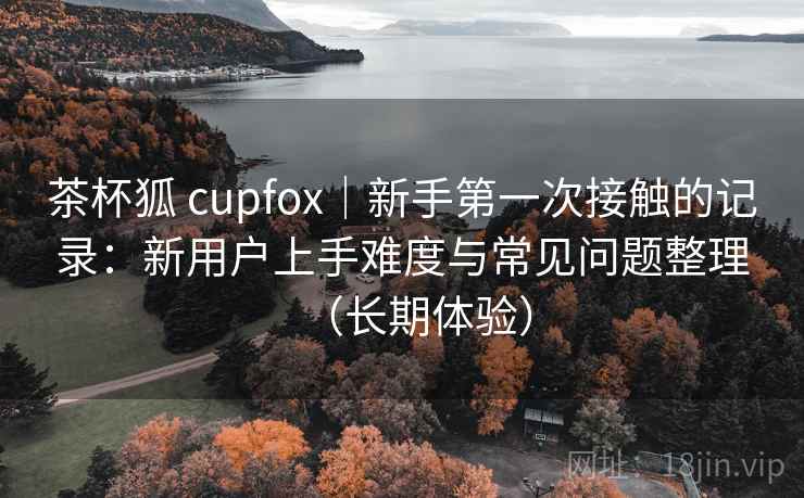 茶杯狐 cupfox｜新手第一次接触的记录：新用户上手难度与常见问题整理（长期体验）