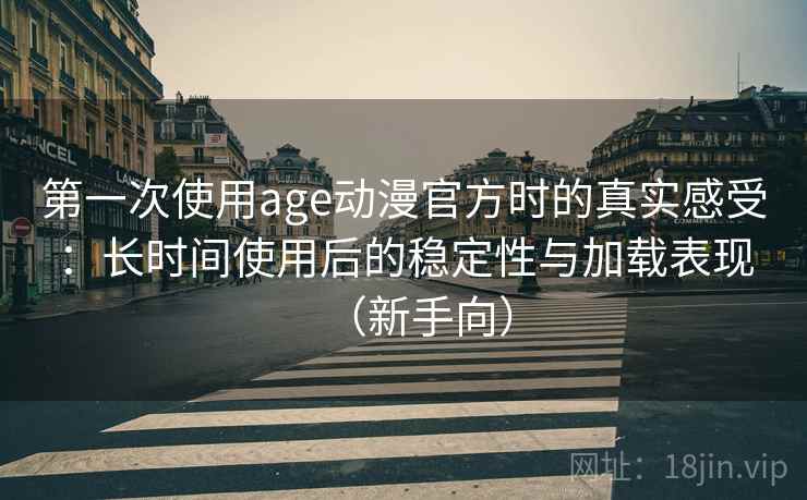 第一次使用age动漫官方时的真实感受：长时间使用后的稳定性与加载表现（新手向）