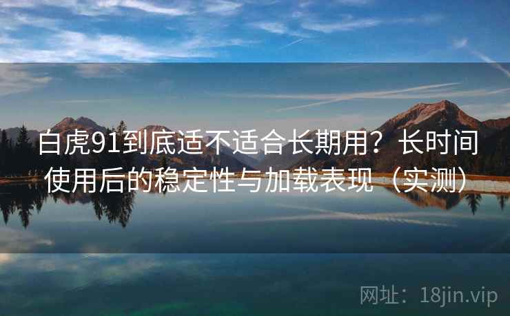 白虎91到底适不适合长期用?长时间使用后的稳定性与加载表现(实测) 白虎91到底适不适合长期用?长时间使用后的稳定性与加载表现(实测)